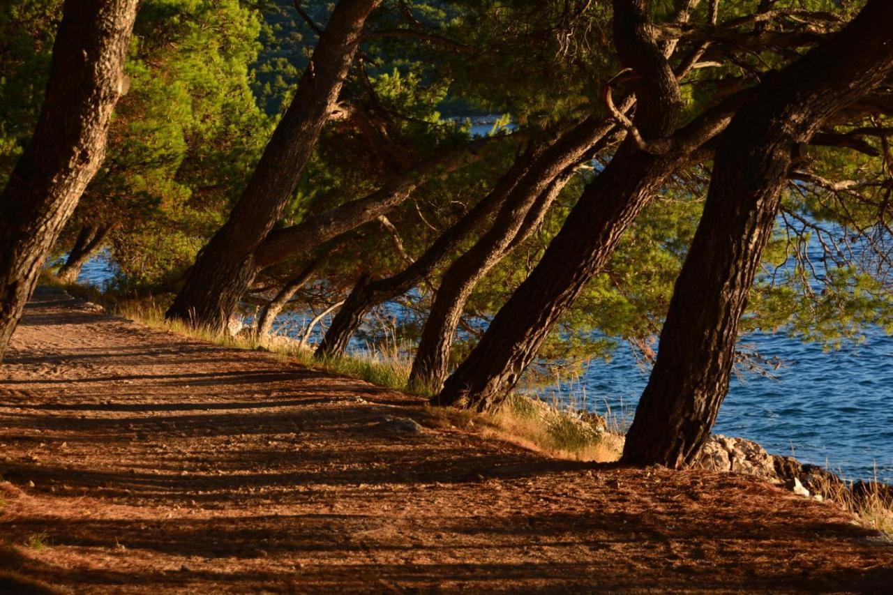 Lastin Dvor Rogoznica  Εξωτερικό φωτογραφία