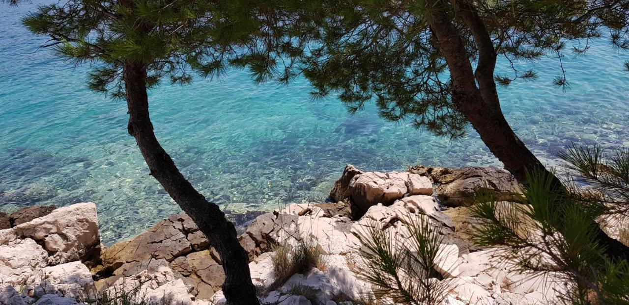 Lastin Dvor Rogoznica  Εξωτερικό φωτογραφία